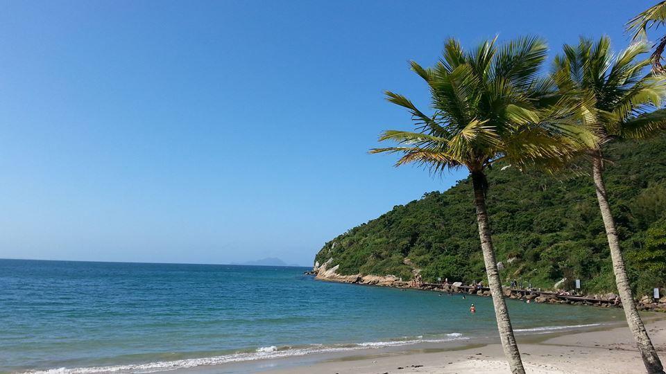 Garcia - Residencial Florianopolis